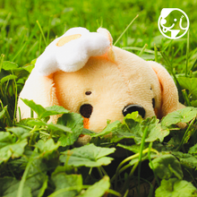 Load image into Gallery viewer, Puptchi Plush