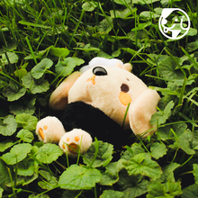 Load image into Gallery viewer, Puptchi Plush